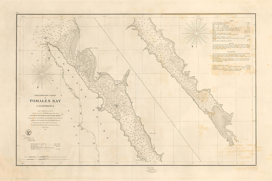 Preliminary Chart of Tomales Bay California Washington DC circa ...