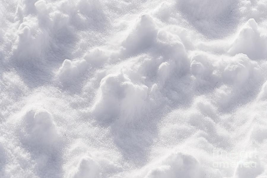 Winter Painting - Premium Snow Texture Background, Natural White Snow Powder In Winter by N Akkash