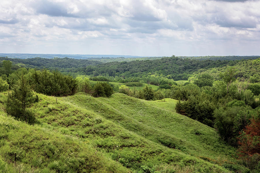 Preparation Canyon - Iowa Loess Hills Photograph by Susan Rissi Tregoning