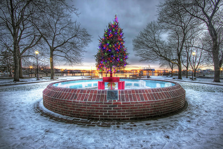 Prescott Park Christmas Tree Photograph by Eric Gendron