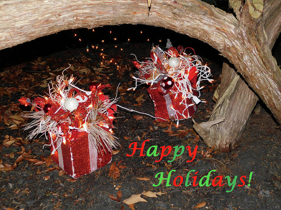 Holiday Photograph - Presents for the Holidays by Emmy Marie Vickers