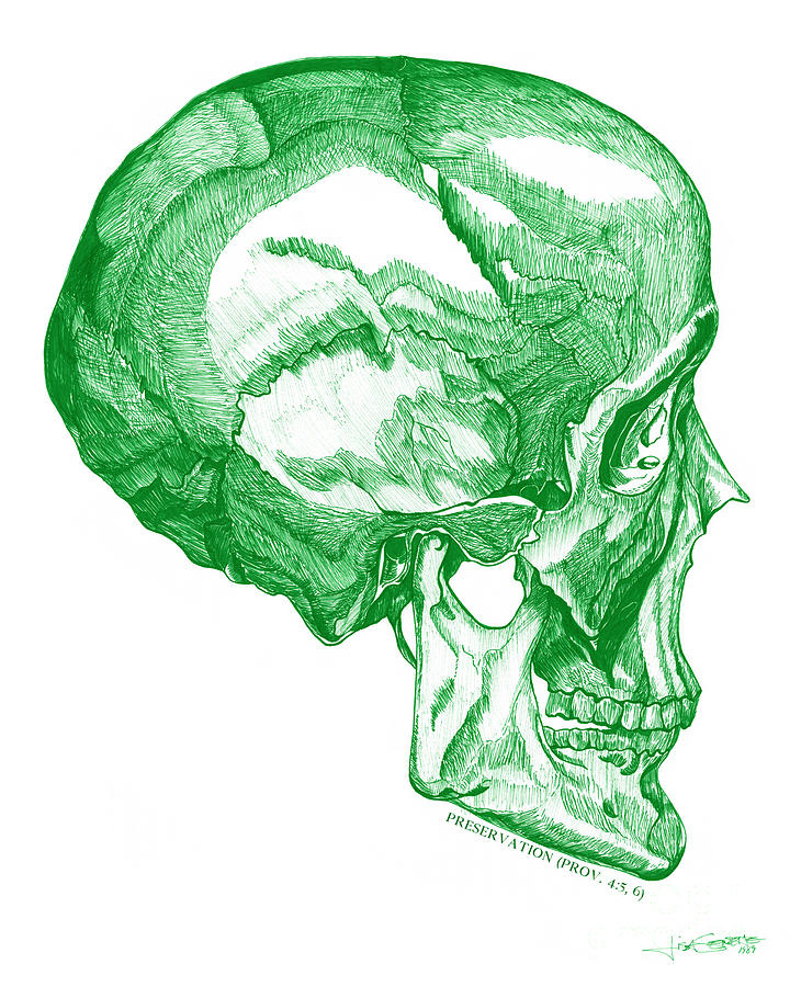 Preservation-Green Skull Drawing by Lisa Senette