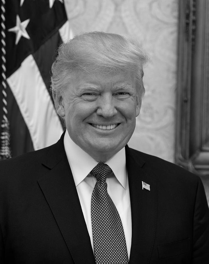 President Donald Trump Official Portrait - 2017 Photograph by War Is Hell Store