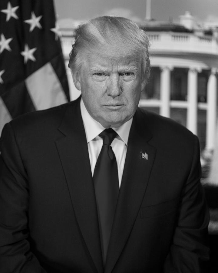President Donald Trump Portrait - 2016 Photograph by War Is Hell Store