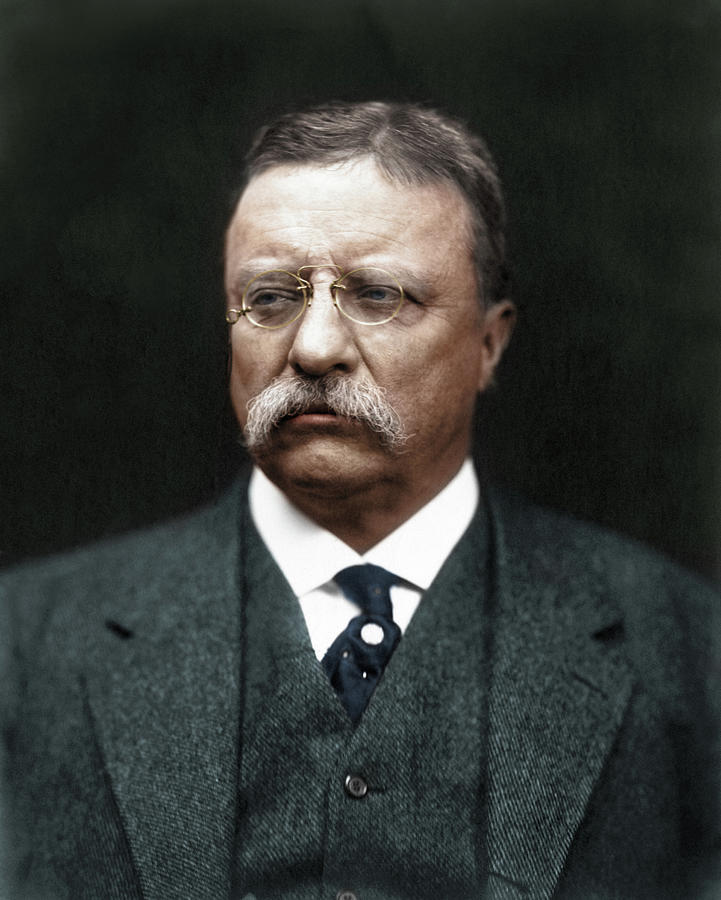 President Theodore Roosevelt Portrait - Circa 1915 - Colorized Photograph by War Is Hell Store