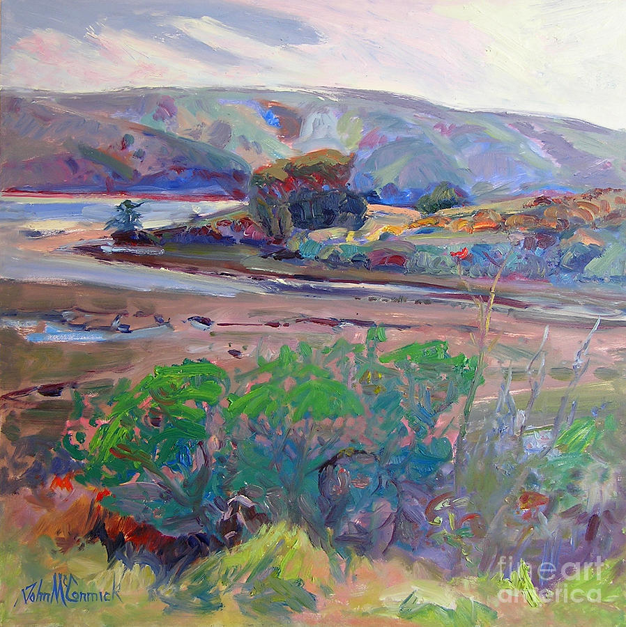 Preston Point, Tomales Bay Painting by John McCormick