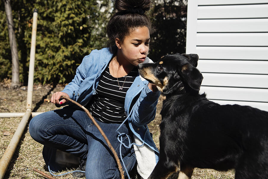 Preteen girl playing with dog outdoors in springtime. Photograph by Martinedoucet