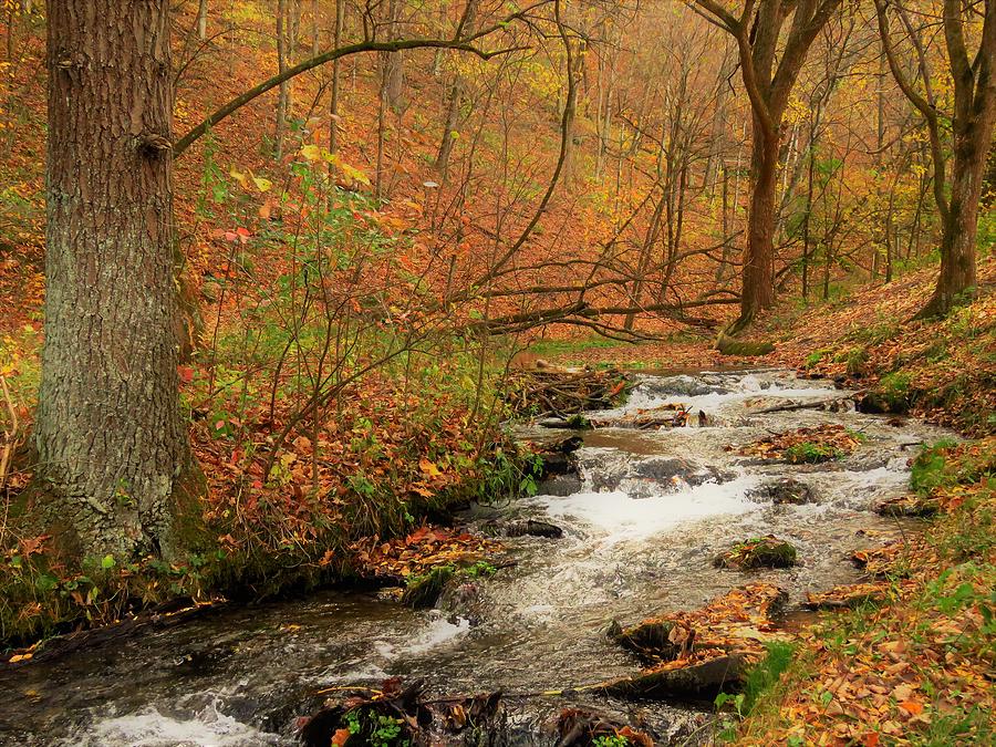 Pretty Autumn Stream  Photograph by Lori Frisch