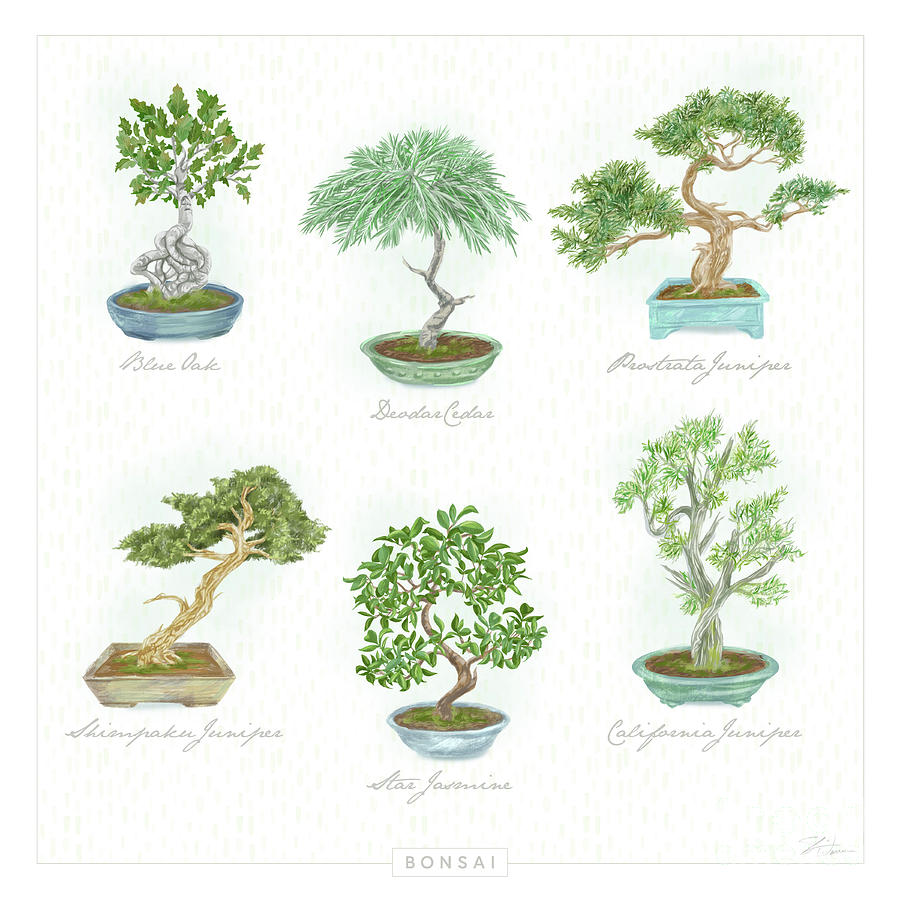 Pretty Bonsai Trees Mixed Media by Shari Warren