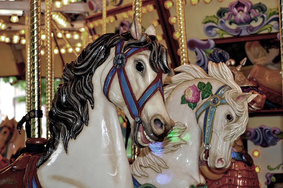 Vintage Photograph - Pretty carousel horses by Perl Photography