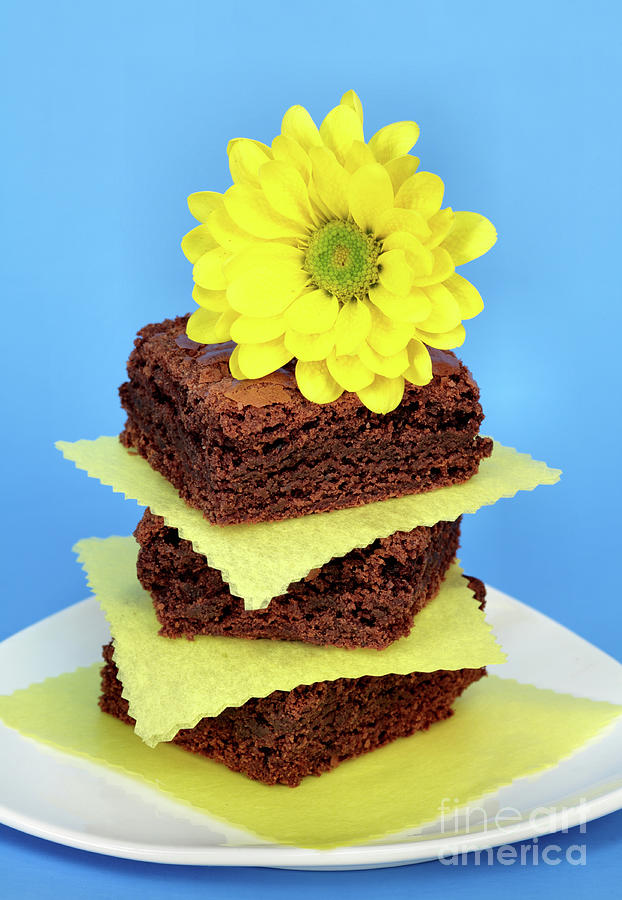 Pretty Chocolate Brownies Photograph by Pattie Calfy