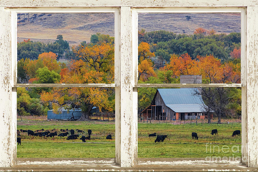 Pretty Colorful Country Rustic Window Frame View Photograph by James BO Insogna