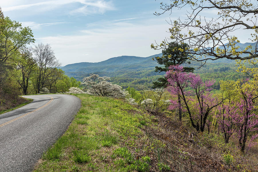 Pretty Colors on the Blue Ridge Parkway Photograph by Maria Jaeger ...