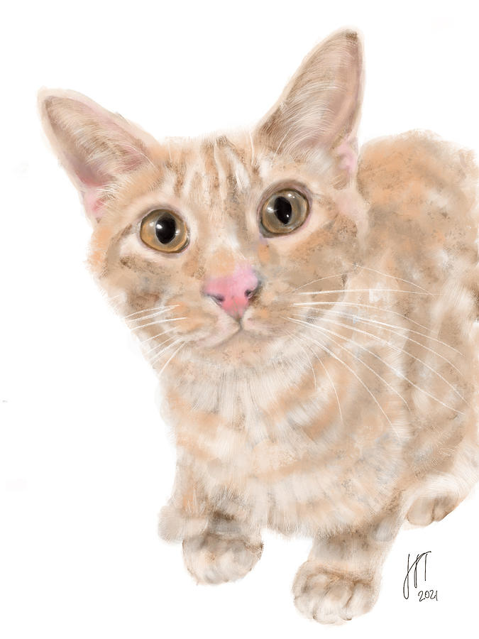 Pretty Eyed Orange Kitty  Digital Art by Lois Ivancin Tavaf