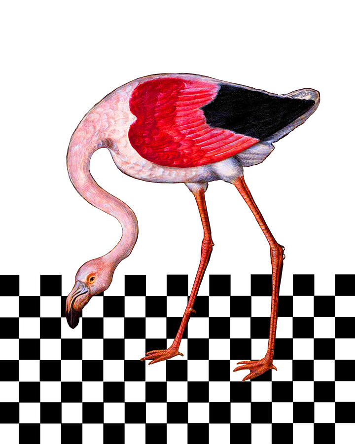 Flamingo Digital Art - Pretty Flamingo by Madame Memento