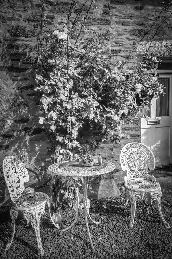 Pretty Garden Chairs in Black and White Photograph by Debra and Dave Vanderlaan