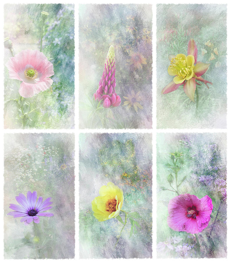 Pretty Garden Flowers Collage Mixed Media by Patti Deters
