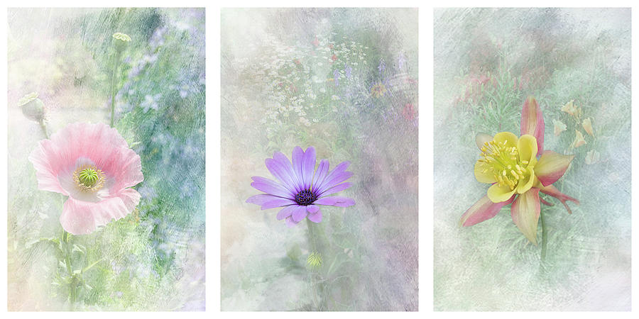 Pretty Garden Flowers - Triptych Photograph by Patti Deters