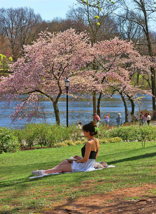 Pretty Girl and Cherry Blossoms Perfect Together Photograph by Allen Beatty