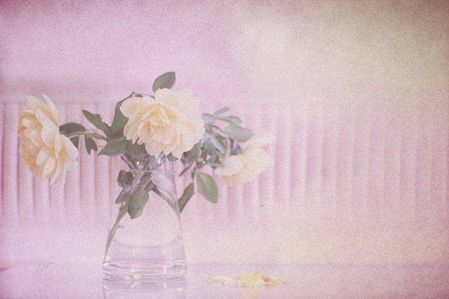 Pretty in Pastel Photograph by Elaine Teague