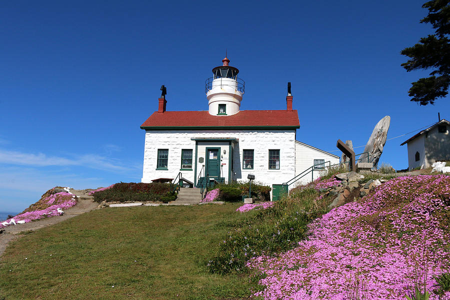 Lighthouse Photograph - Pretty in Pink - Battery Point by Art Block Collections
