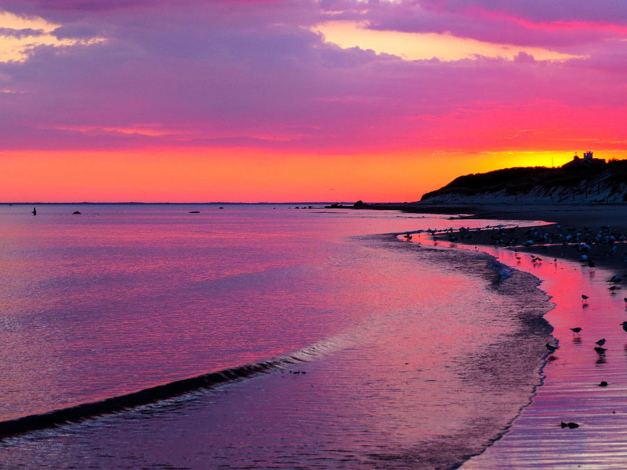 Pretty in Pink - Cape Cod Bay Photograph by Dianne Cowen Cape Cod Photography