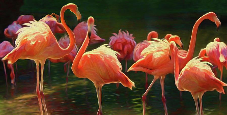 Flamingo Photograph - Pretty In Pink by HH Photography of Florida