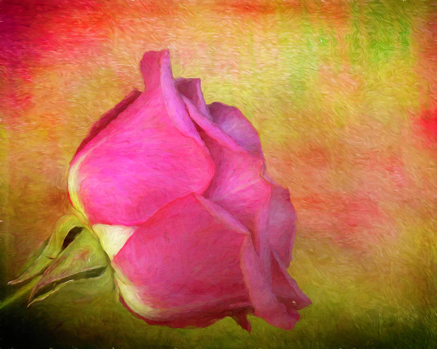 Pretty in Pink Painting Photograph by Judy Vincent