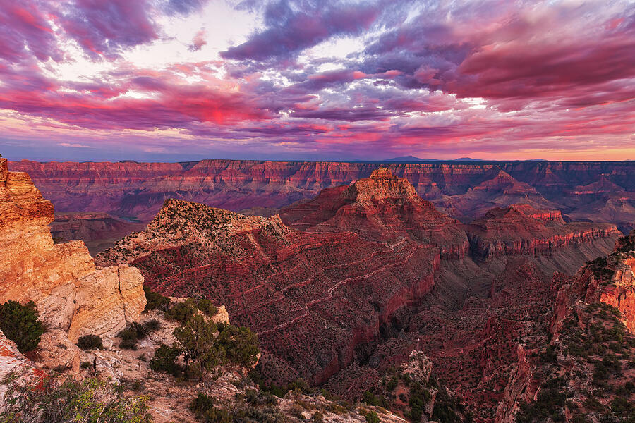 Grand Canyon National Park Photograph - Pretty in Pink by Rick Furmanek