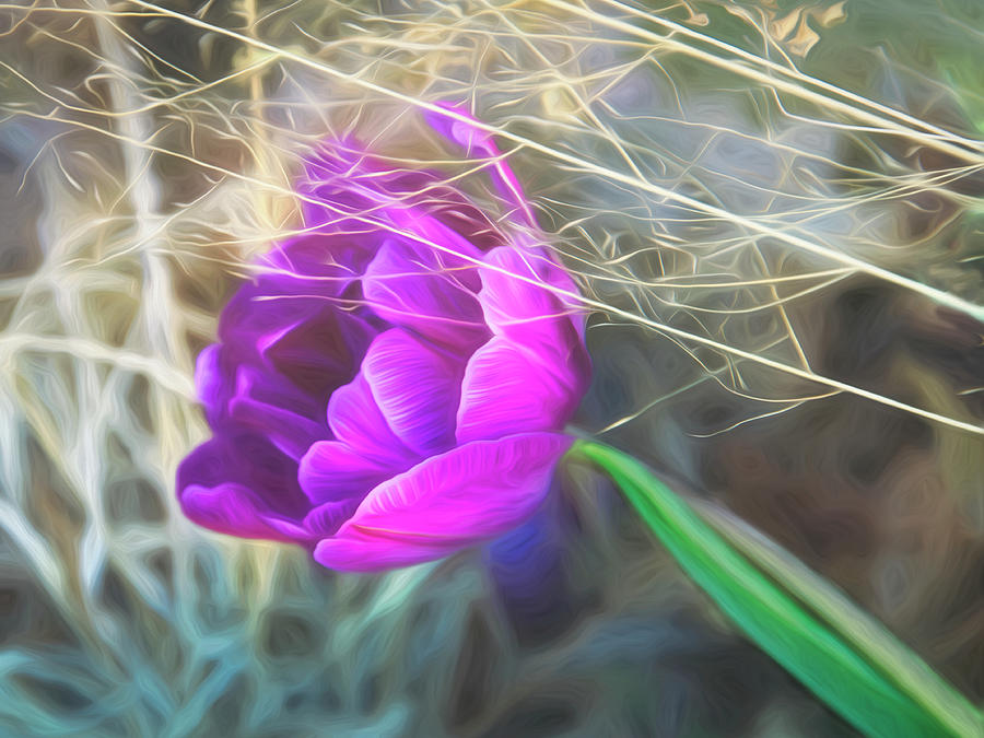 Pretty In Purple Tulip Flower Art Mixed Media