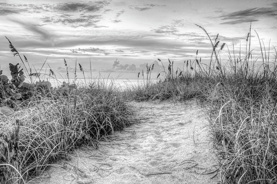 Pretty Light in the Dunes Black and White Photograph by Debra and Dave ...