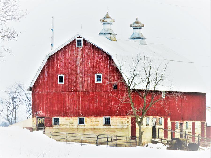Pretty Old Barn  Photograph by Lori Frisch