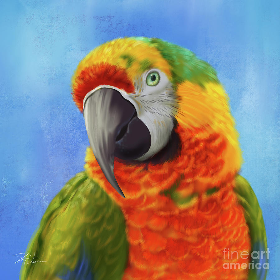 Pretty Parrot Mixed Media by Shari Warren