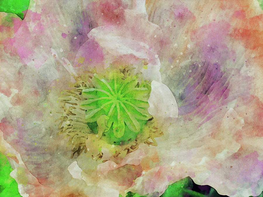 Pretty Pastel Poppy Art Mixed Media by Peggy Collins