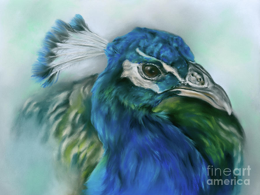 Pretty Peacock Bird Portrait Painting by MM Anderson