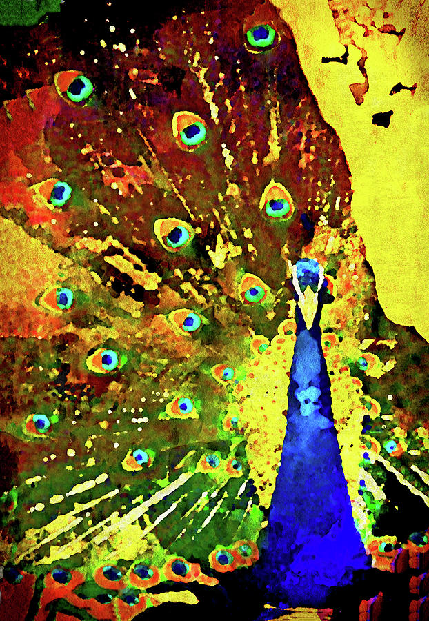 Pretty Peacock Digital Art by Susan Maxwell Schmidt