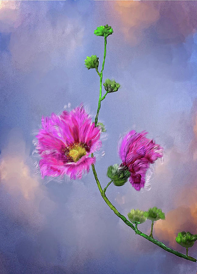 Pretty Pink Flowers Digital Art by Mary Timman