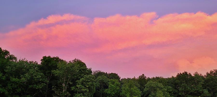 Pretty Pink June Storm Photograph