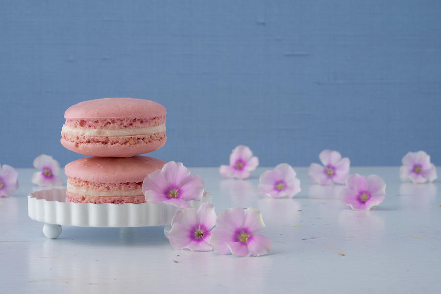 Pretty Pink Macarons and Flowers Photograph by Tina Horne