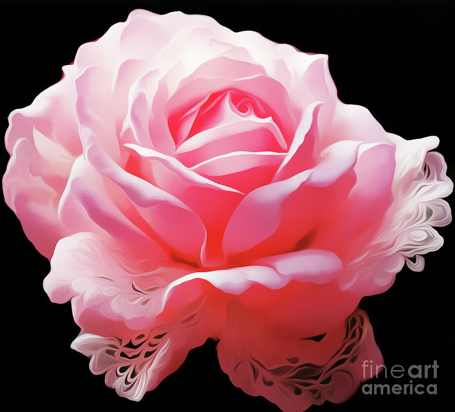 Pretty Pink Rose Digital Art by Eddie Eastwood