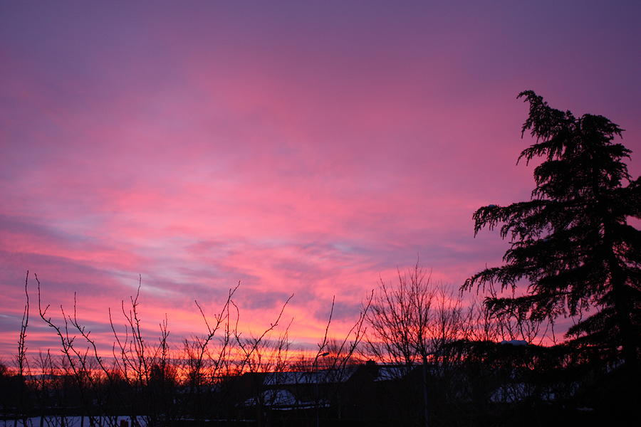 Pretty Pink Winter Sunrise Photograph by Jeremy Hayden