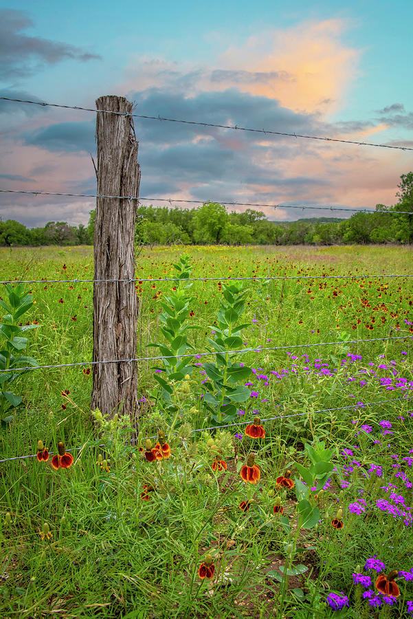 Pretty Skies Over Spring Wildflowers Photograph by Lynn Bauer