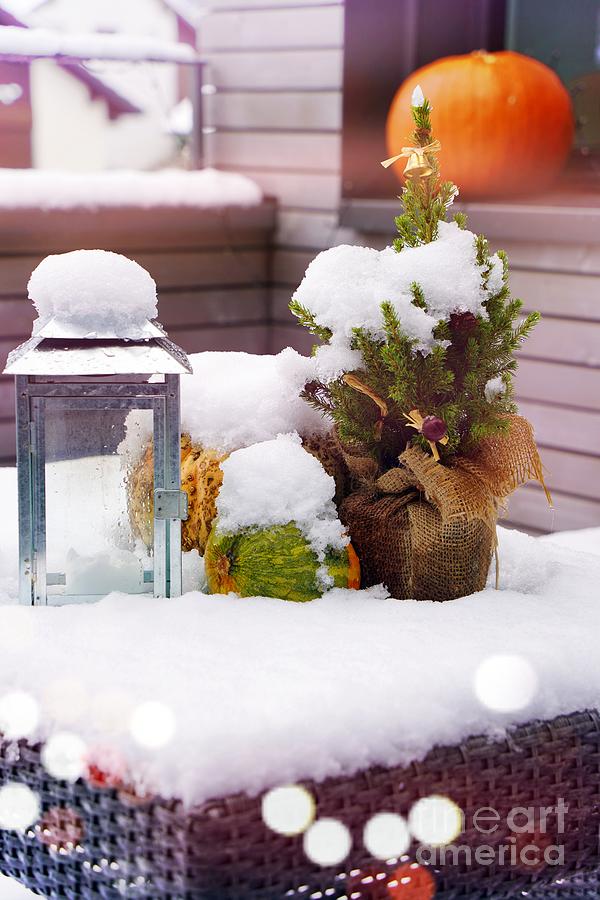 Pretty Winter Photograph by Claudia Zahnd-Prezioso