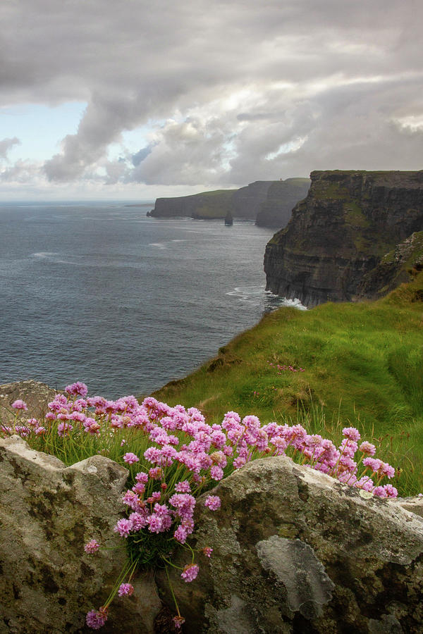 Pretty with Pink Moher Photograph by Mark Callanan