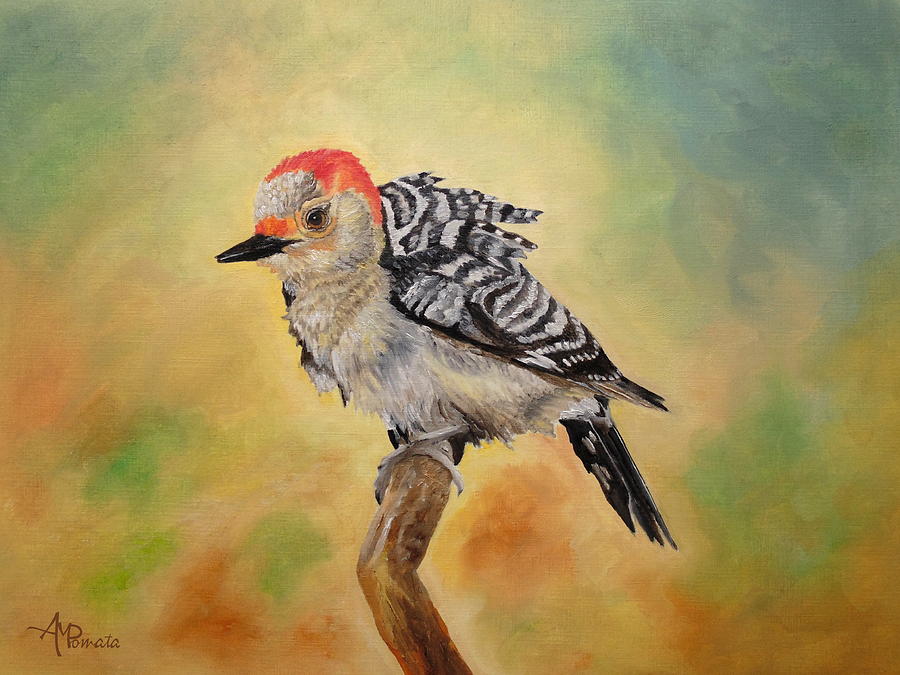 Pretty Woodpecker Painting by Angeles M Pomata