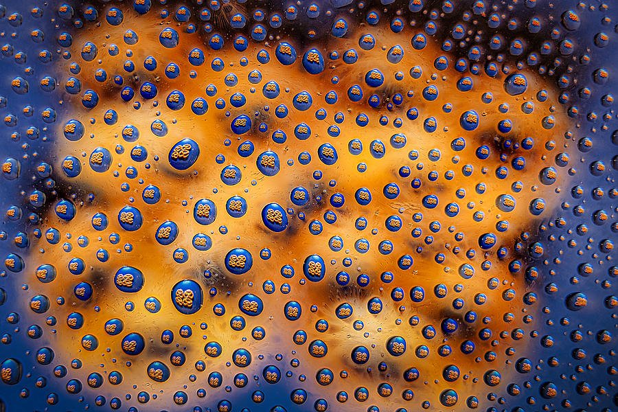 Pretzels in Water Droplets Photograph by Stuart Litoff