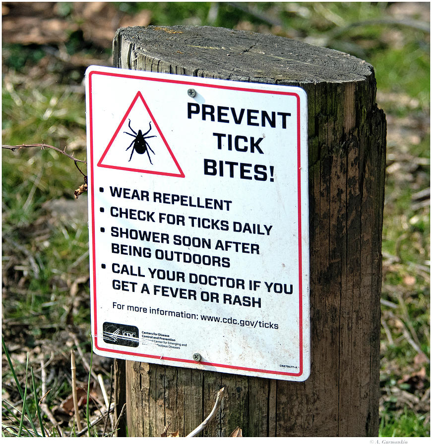 Prevent Tick Bites Sign Photograph