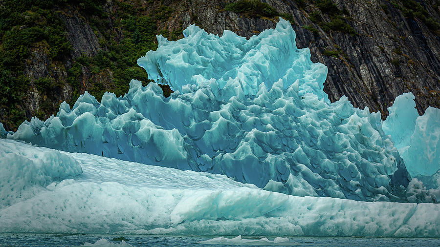 Prickley Iceberg Photograph by Nicholas McCabe