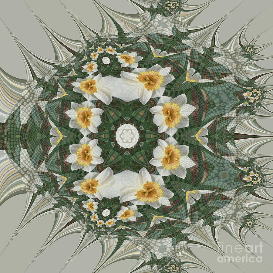 Prickly Narcissus Kaleidoscope Digital Art by Charles Robinson