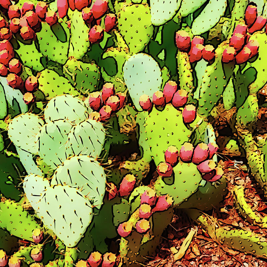Prickly Pear Cacti Fruits Photograph by Tatiana Travelways